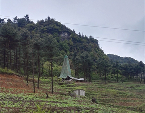 把脈“黔”鋅地，問(wèn)診開(kāi)良方