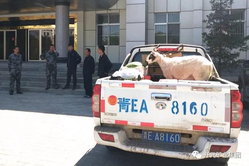 1533110242111290.jpg 3.jpg