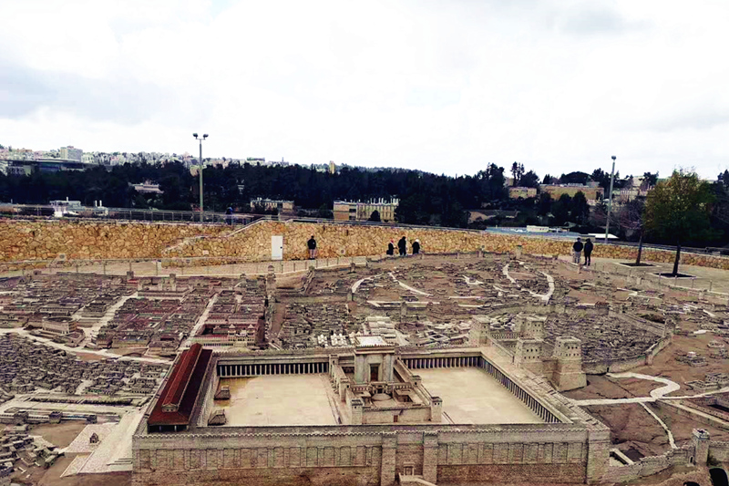 1553754230131702.jpg 微信圖片_20190328104901_副本.jpg